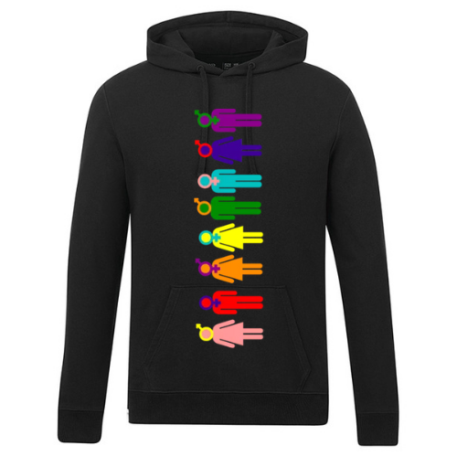 317 - Adult Mid Weight Promo Hoody