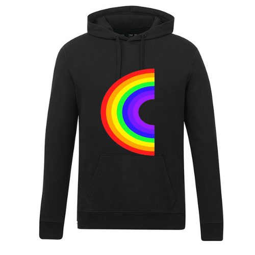317 - Adult Mid Weight Promo Hoody